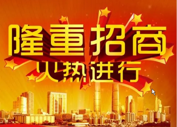 招商網(wǎng)站建設(shè)：連接商機(jī)、吸引投資的數(shù)字化路徑